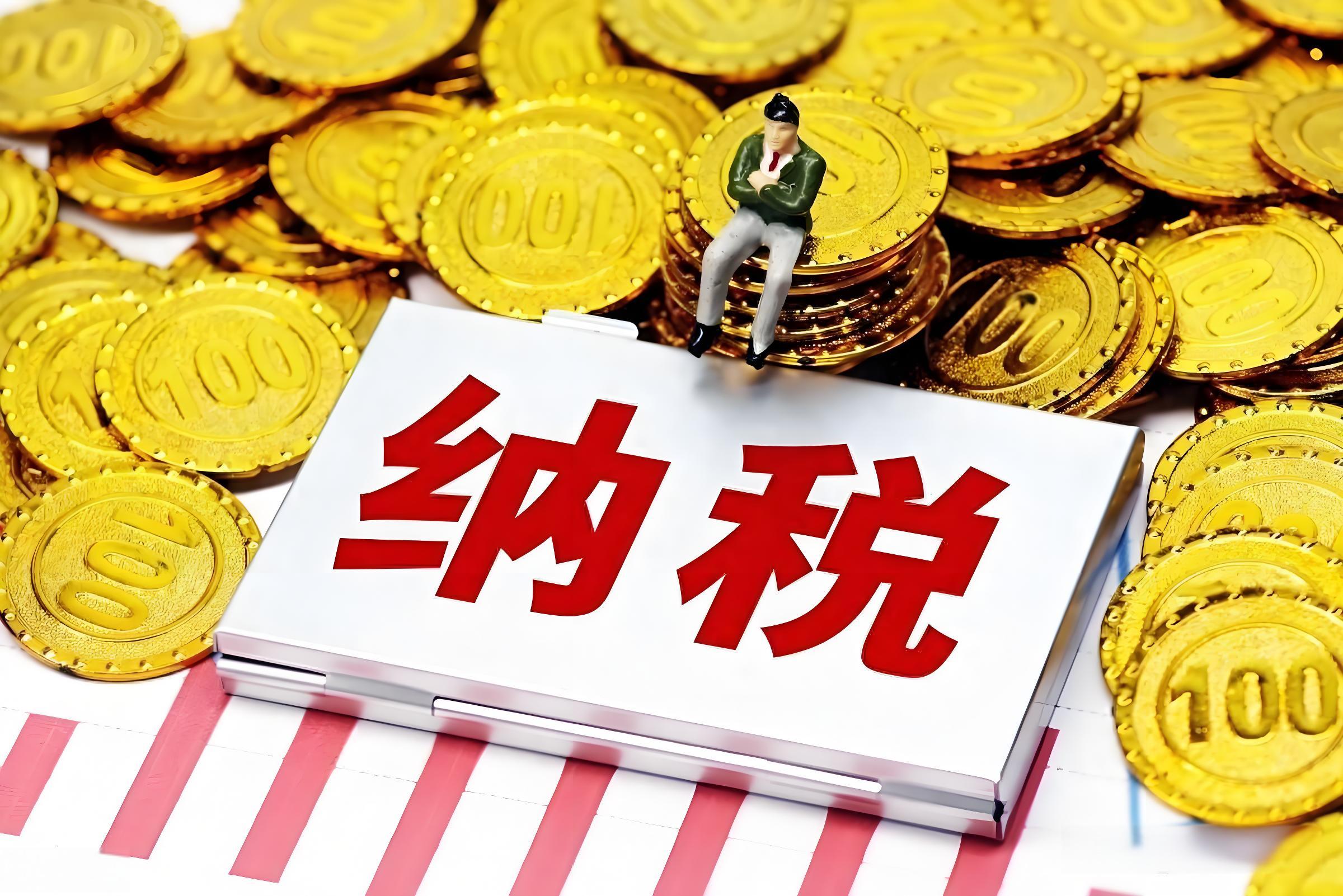 企业纳税的申报流程是什么？